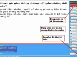 PHẦN MỀM THI THỬ LÝ THUYẾT A1_A2_B1_B2_C... 